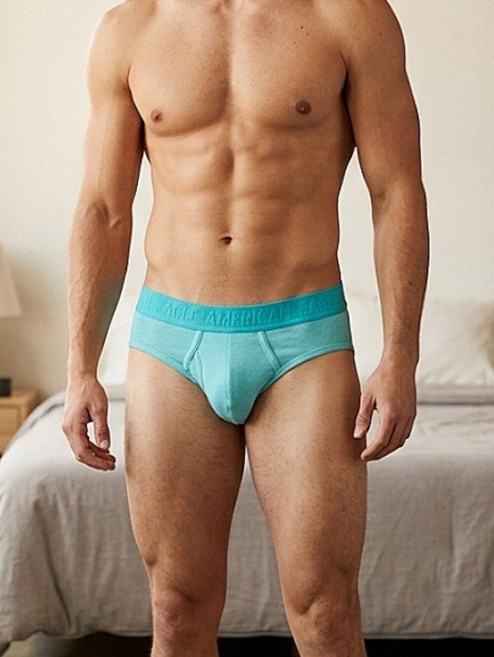 Vertical Fly Brief